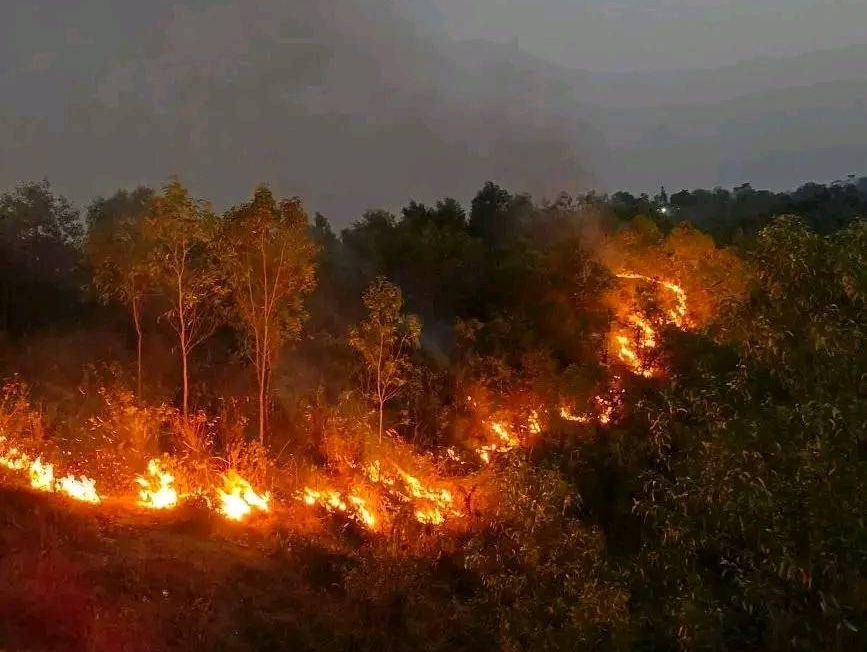 এমসি কলেজের টিলায় অ গ্নি কা ণ্ড